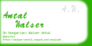 antal walser business card